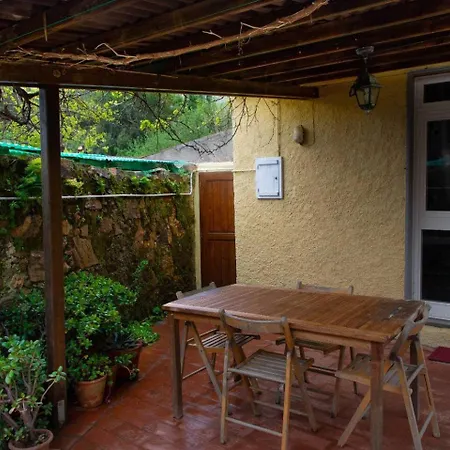 Monolocale Con Veranda E Giardino A *