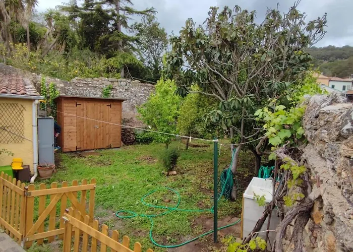 Monolocale Con Veranda E Giardino A *