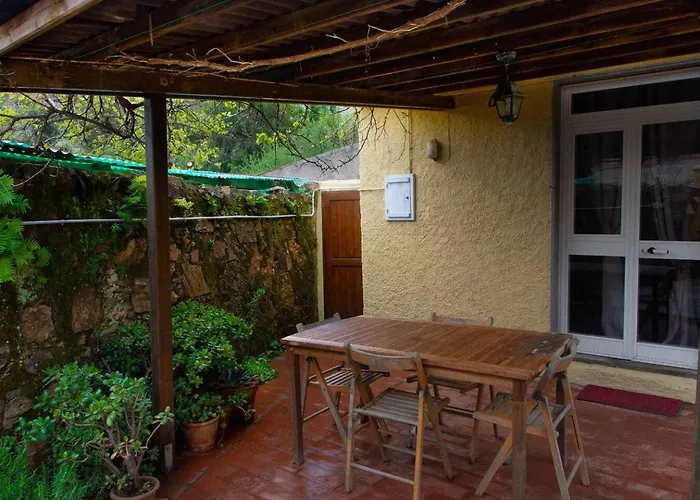 Monolocale Con Veranda E Giardino A *