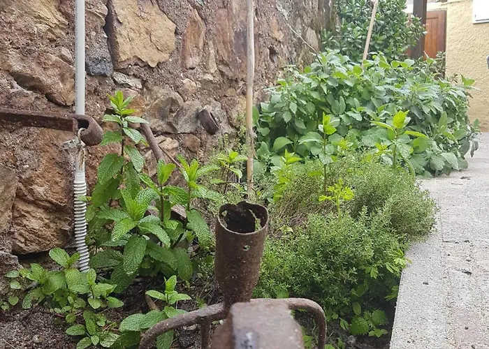 Monolocale Con Veranda E Giardino A