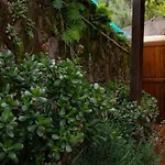 Monolocale Con Veranda E Giardino A Apartman