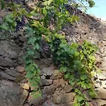 Monolocale Con Veranda E Giardino A Apartman