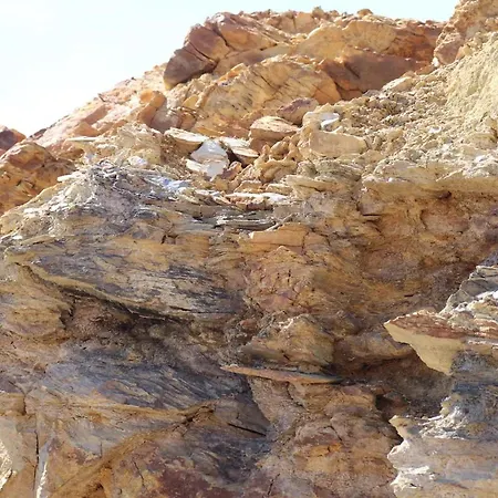 Appartamento Monolocale Con Veranda E Giardino A