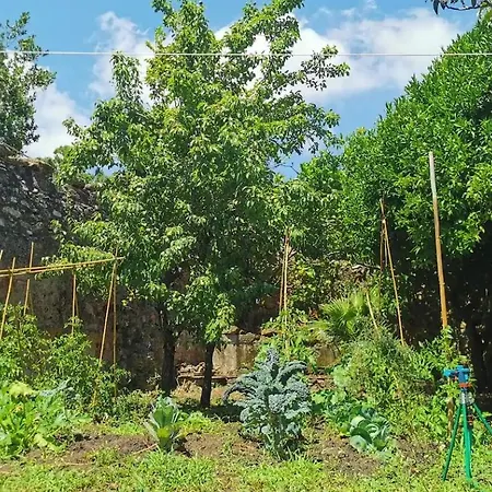 Apartman Monolocale Con Veranda E Giardino A *