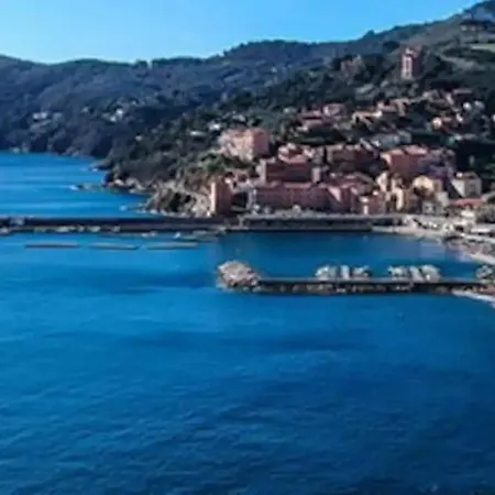 Appartamento Monolocale Con Veranda E Giardino A