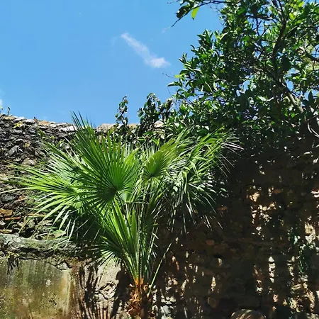 Monolocale Con Veranda E Giardino A Appartamento Rio Marina