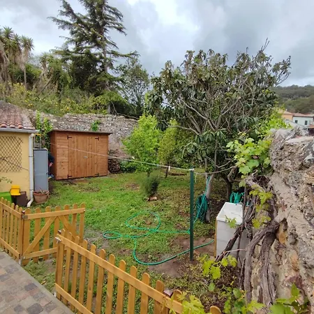 Monolocale Con Veranda E Giardino A