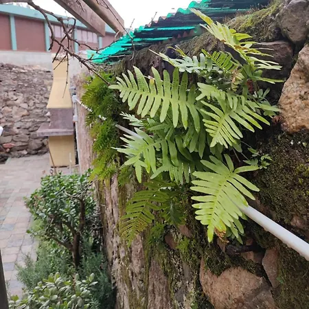 Apartman Monolocale Con Veranda E Giardino A *