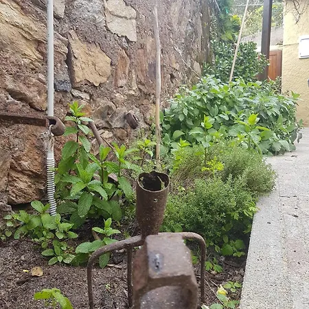 Monolocale Con Veranda E Giardino A