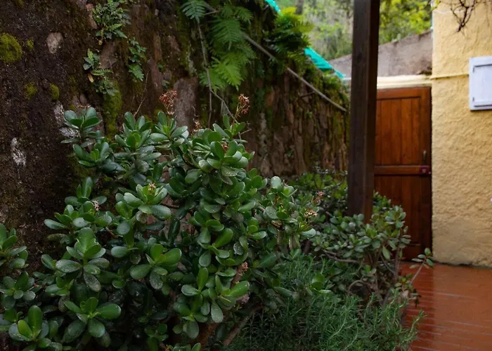 Monolocale Con Veranda E Giardino A Apartament