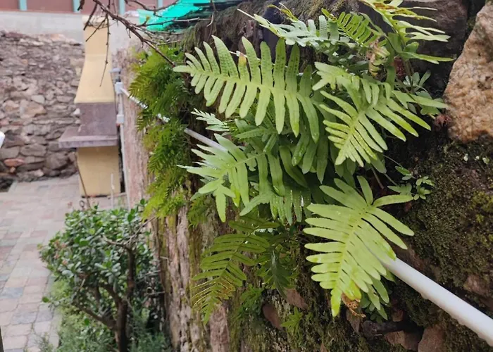 Apartament Monolocale Con Veranda E Giardino A *