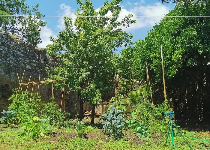 아파트 Monolocale Con Veranda E Giardino A *